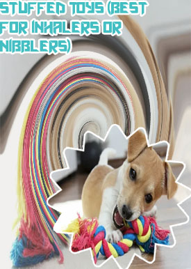 Best toys for dogs to play alone