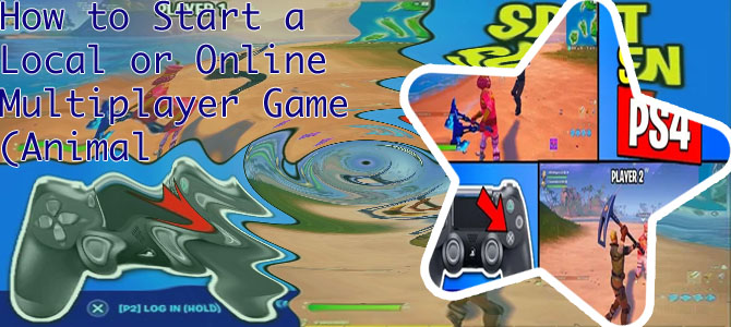 Can you play split screen fortnite on switch