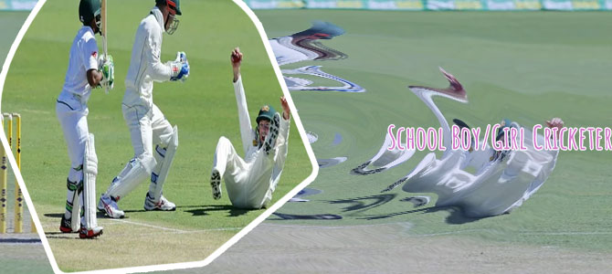 Cricket playing countries