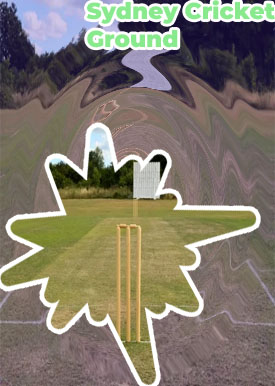 Cricket playing field