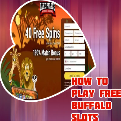 Free slots with bonus and free spins no download